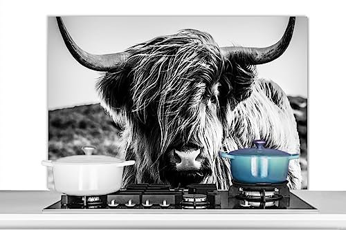 KitchenYeah© Küchenrückwand Platte Spritzschutz Küche Deko Aluminium Platte Wandschutz Küchen Zubehör WandverkleidungKuh - Schottisches Hochlandrind - Schwarz und Weiß - Natur - Wildnis - 100x65 cm