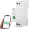 Jadeshay Interruttore WIFI, Interruttore Orario WiFi 1P 63A Salvavita Con Riarmo Automatico con Telecomando per Casa Intelligente