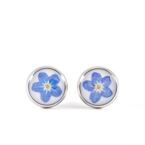 Ohrstecker 10mm mit echten Vergissmeinnicht Blüten – Handgefertigte Ohrringe aus Edelstahl, silberfarben | Zarter Naturschmuck & liebevolles Geschenk für Frauen