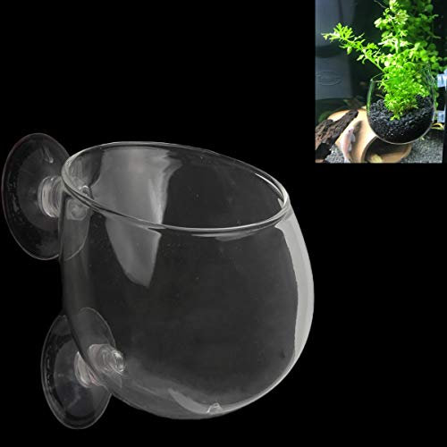 Ailindany 1PCS Crystal Glass Aquatic Plant Cup Pot Holder with Suction Cups for Fish Tank Aquarium Decor
