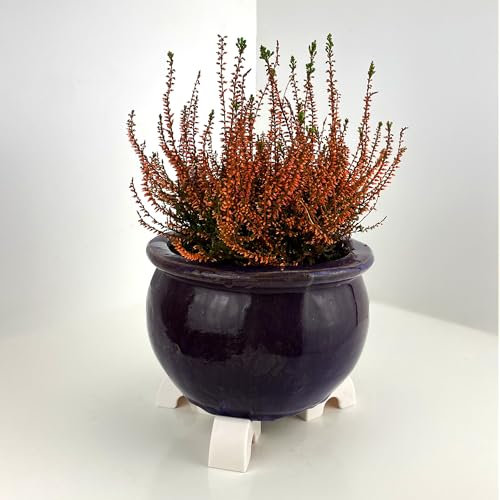 Synio Plant Pot Feet (White)