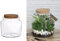 NaDeco Pflanzen-Terrarium aus Glas Mit Korken, in Zwei Größen Wählbar | Pflanzenterrarium | Flaschengarten | Biosphären-Glas | Pflanzenglas, Größe:Ø15 h.14 cm