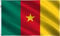 Large 5 x 3FT (150x90Cm) Cameroon National Flag Cameroonian Polyester Fabric Brass Eyelets for FIFA World Cup Football Rugby Sports Supporter