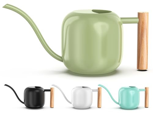 Green Moon Arrosoir pour plantes d'intérieur - 1,2 l - Vert sauge - Petit pot d'eau d'intérieur en métal avec long bec verseur pour maison, bonsaï, plantes, jardin, fleur décorative