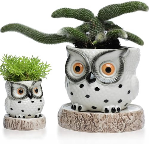 Pots de fleurs en céramique avec réservoir - 14 + 6,35 cm - Pour plantes d'intérieur - Blanc - Pour toutes les plantes d'intérieur, succulentes, violettes, fleurs, herbes et cactus - Bougeoir