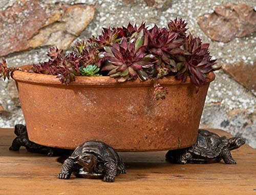 Potty Feet Tortoise Figures Plant Pot Feet - Planter Support - Handmade Decorative Ornaments - 3pcs