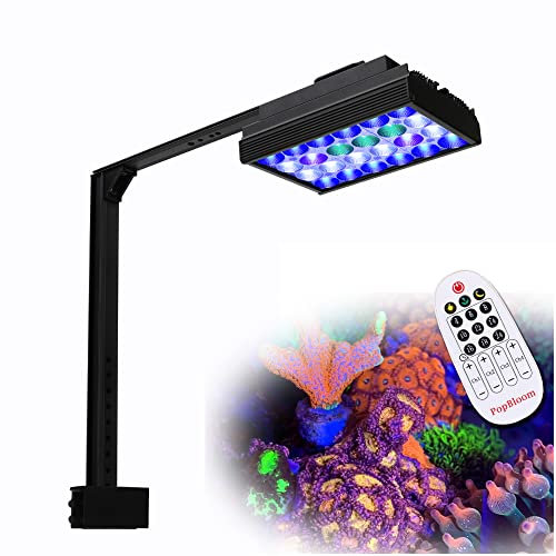 PopBloom Meerwasser LED 60W, Salzwasser LED Beleuchtung für Reef Coral Fish Wasserpflanzen Salzwasser Aquarium Shannon16Pro