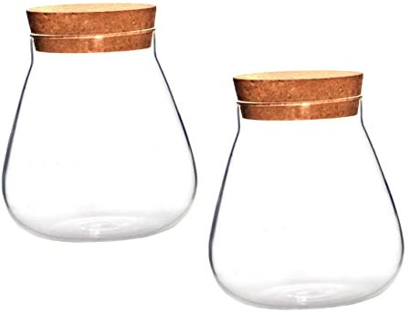 CIYODO 2 Stücke Kork Flasche Kaffee Luftdichten Behälter Glas Bonbongläser Hydrokultur Pflanzen Terrarium Mittelstück Pflanzenvase Mit Stopfen Landschaft Mehl