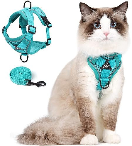 Katzengeschirr mit Leinen katzenleine Set, Katzengeschirr Ausbruchsicher Verstellbare Kätzchenweste mit Leine für kleine Katzen, Katzennetzjacke mit Reflektorstreifen (S Grün)