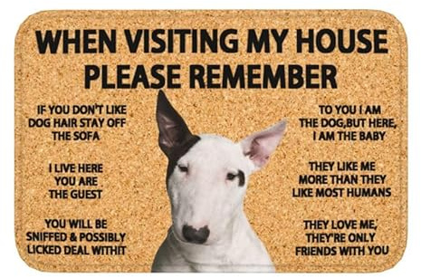 HSIRYAOHD Fußmatte für den Eingangsbereich, Motiv: Remember Bullterrier, Hausregeln, rutschfeste Fußmatte, Küche, Balkon, Eingangsmatte, Heimdekoration, Einweihungsgeschenk