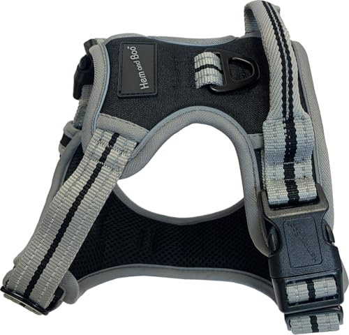 Dog & Co Sportgeschirr, gepolstert und reflektierend, Schwarz, Größe M