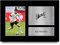 HWC Trading A4 Kai Havertz Germany Geschenke Gedruckt, Signiert Autogramm Bild, Für Fußball-Fans Und Anhänger