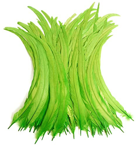 THARAHT 50PCS Rooster Coque coda piume Bulk naturale 12-14Inch 30-35cm per l'artigianato di nozze volare legare piuma partito prestazioni fai da te decorazione piuma coda di gallo, verde lime