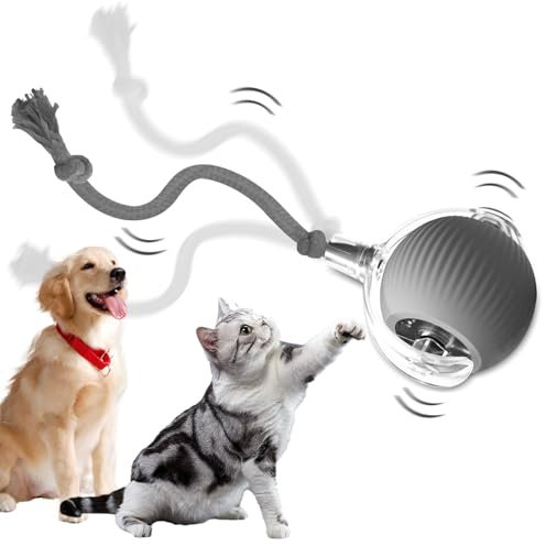 LuGirlre Pet Smart Rolling Ball, interaktiver Ball für Katzen, elektrisch, automatisch, wiederaufladbar, elektrisches Katzenspielzeug, interaktives Spielzeug für Katzen, intelligentes Spielzeug für
