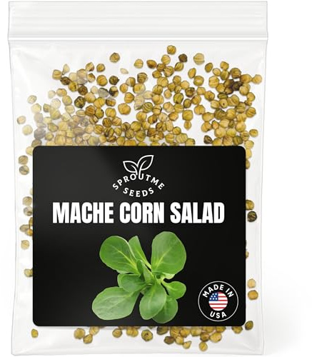 Mache Corn Salad Seeds for Planting – 500+ Non-GMO Heirloom Seeds, Lamb’s Lettuce for Home Gardens & Fresh Salads (Valerianella Locusta)