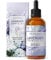 ASAKUKI Lavender Essential Oil 100ml, Natural Therapeutic Grade, Aromatherapy Oil Lavender for Better Sleep, Health Care, Relaxation, Ideal for Humidifier, Diffuser & Wellness