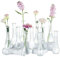 NUPTIO Petit Vase en Verre pour Fleur: 12 Pièces 21,7cm Grand Soliflore Transparent Vases Decoratif pour Centre de Table Mariage Fête Interieur Maison Deco
