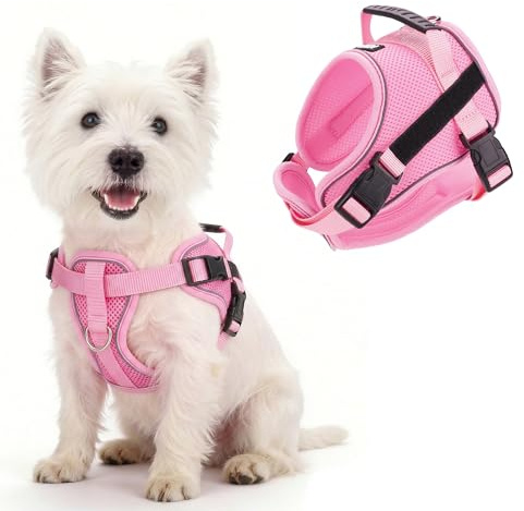 AIITLE Dragsele för Hundar med Handtag och Reflekterande - Mjukt, Andningsbart och Justerbart Dragsele för Små och Medelstore Hundar (Rosa, XS)