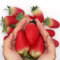 FZBNSRKO Künstliche Erdbeere, 20 Stück, künstliche Erdbeere, lebensechte Obst, Kunststoff, Erdbeeren, Fotografie-Requisiten, Zuhause, Küche, Party, Ornament, groß