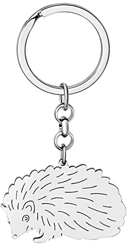 LONYOO Cute Igel Schlüsselanhänger Edelstahl Igel Geschenke für Frauen Mädchen Handtasche Autoschlüssel Charms (Versilbert)