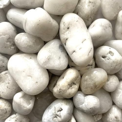 Eurosand Flusskiesel 10-30mm 1kg Weiss Weiß, Kieselsteine Dekosteine Natursteine Dekosteine Naturdeko Gartendeko Zengarten Feng Shui