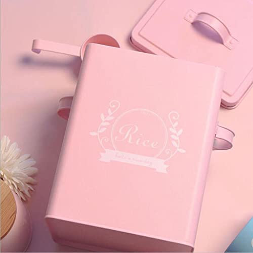 getuse Boîte de rangement pour lessive en poudre avec pelle, rose, acier durable avec revêtement en poudre, boîte de cuisine multifonction