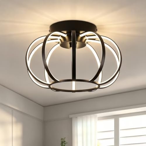 WOKNOS LED Deckenleuchte Schwarz,Rund Vintage Deckenlampe Metall LED Lampe | Minimalistisch Hängend Lampe Käfigform Deckenleuchten für Flur Küche Schlafzimmer Esszimmer Wohnzimmer 29CM 4000K