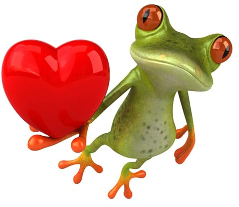 Aufkleber Frosch mit Herz 12 x 10 cm - Auto Aufkleber Deko Sticker - PKW LKW Wohnwagen Moped Helm - Witterungsbeständig und Waschanlagengeeignet - kfz726