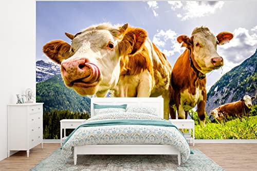 Selbstklebend Tapete Wandpapier Wandaufkleber Fototapete Tapeten Wanddeko 350x260 cm Kühe - Berge - Gras - Landschaft - Alpen