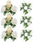 Kerzenringe Kränze, 6pcs 7,9 -Zoll -künstliche Rose Frühling Kerzenringe, Blumenkränze Kerzenring, Kleiner Blumenkranzkerzenhalter für Hochzeitsmittelstücke Esstischdekor (weiß)