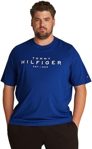 Tommy Hilfiger Men's Short Sleeve Round Neck T-Shirt, Blue (Wedge Blue), 3XL