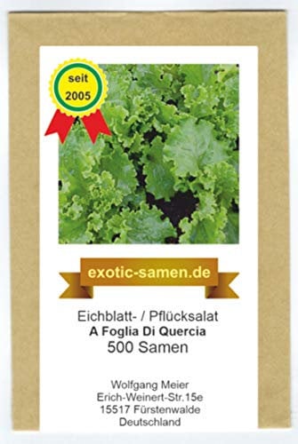 Eichblatt- / Pflück-Salat - A Foglia Di Quercia - schnellwüchsig - 500 Samen