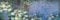 1art1 Claude Monet Poster Seerosen, Morgen Bilder Leinwand-Bild Auf Keilrahmen | XXL-Wandbild Poster Kunstdruck Als Leinwandbild 150x50 cm
