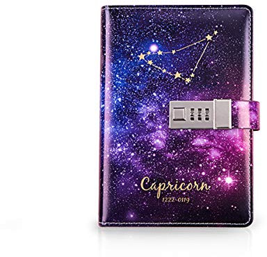 PORRASSO B6 Passwort Tagebücher Set PU Notizbuch Mädchen Glasstift Stifthalter Konstellation Diary Book Frauen Blanko Seiten 224 Seiten Steinbock