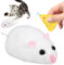Indoor Cat Remote Control Duties - Realistic Mice Animal Toy, Infrared Simulation Pet Hunting Playmate for Balcony, Yard, Living Room, Backyard, Interactive Fun Toy for Cats