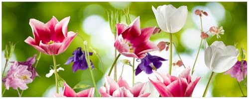 Wallario Küchenrückwand selbstklebend 115 x 50 cm, Motiv: Blühende Blumen im Frühling in pink und weiß | Spritzschutz abwischbar & pflegeleicht