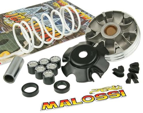 Variomatik MALOSSI Multivar 2000 kompatibel mit GILERA Runner 50cc, Stalker, Storm, Typhoon X, Diesis