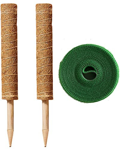 Rankhilfe Zimmerpflanzen Set - 2 x 40cm Kokosstab für Pflanzen + 30 x Metall Pflanzenhalter + Pflanzenbinder - Moosstab, Pflanzstab, Rankstab für Kletterpflanzen, Monstera, Blumentopf