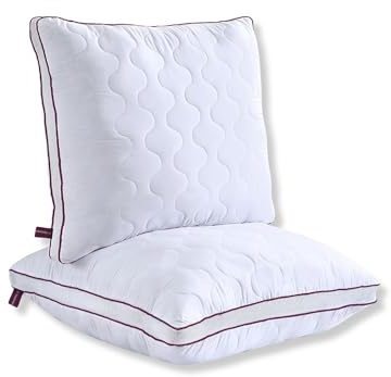 HEIMTEX Kopfkissen 80x80 cm – Atmungsaktives Mikrofaser Kissen mit Airflow-Netz, verstellbare Füllung mit Reißverschluss, waschbar, weich & stützend – Made in Germany – 1er oder 2er Pack (2er-Pack)