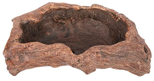 Garneck Sukkulenten Pflanzen Topf Wurzel Schnitzerei-förmigen Blumentopf Home Decor Handgemachte Zement Pflanzer Einzigartige Wurzel Design für Freunde