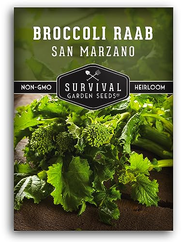 San Marzano Raab Broccoli Rabe Seeds for Planting – Italian Heirloom Rapini Variety, Fast-Growing Cool-Season Greens, Non-GMO High Yield Vegetable Garden Favorite – Survival Garden Seeds (1 Pack)