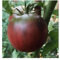 Schwarz aus Tula Tomatensamen 30, 50, 200 seltene lila Russisch Frische Heirloom
