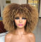 ISAMY 14inch Afro Bomb Curly Wigs for Black Women Short Afro Kinky Curly Wig with Bangs Full Curly Wig (Ombre Blonde)