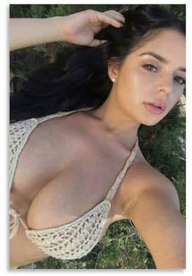 TSNKNP Demi Rose Poster Dekorative Malerei Leinwand Wandkunst Wohnzimmer Poster Schlafzimmer Malerei,Wandkunst Bilddruck Moderne Familienzimmer Dekor 12x18inch(30x45cm)