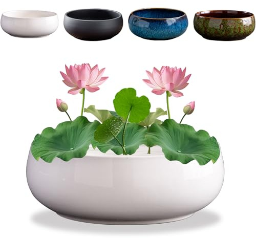 HDQQEU Bonsai Schale Lotusblume Keramik 16cm Blumenschale Lotus Pflanze Topf Bonsai Schüssel Chinesischer Seerose Lotusschalen-Pflanzgefäß Für Hydroponic Schale (Weiß)