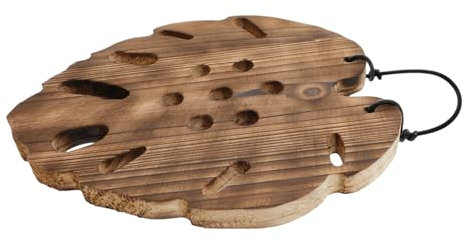 TINEASUR Macetero De Pared para Orquídeas Y Suculentas: Sistema De Montaje De Madera con Helecho Cuerno De Alce - Tablero para Jardín Vertical - Arte con Hojas De Monstera para Amantes De