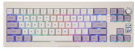 EPOMAKER Shadow-X - Tastiera Meccanica Gasket, 2,4 Ghz/Bluetooth/USB-C Gaming con schermo, batteria 3000 mAh, schiuma poron, pad in silicone per Win/MacOS(White Purple, Gateron Pro Yellow)