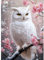 CEOVR Diamond Painting Bilder Erwachsene,5D DIY Diamond-painting Kits,Diamond Painting Set für Dekoration,30x40 cm (blanc rose noir)