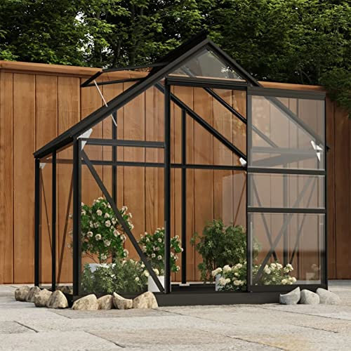 Snsowed Serra in Vetro Antracite 155x103x191 cm Telaio in Alluminio,Prato e Giardino,Giardinaggio,Serre-3082333
