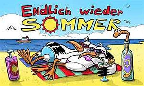 Fahne Flagge Endlich Wieder Sommer - 90x150 cm - Hissfahne mit Ösen Fahnen